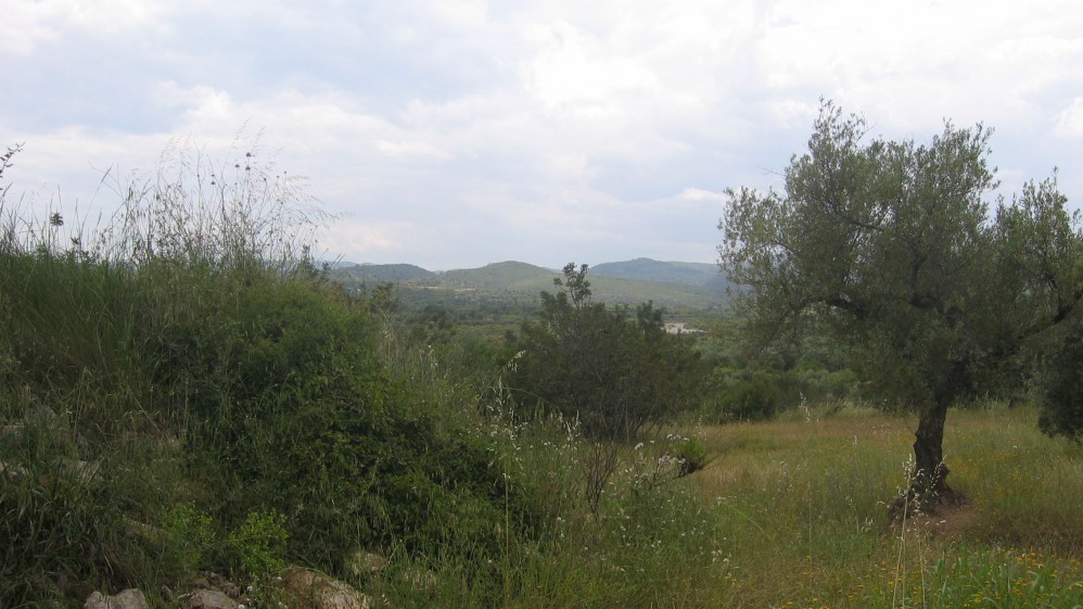 MPS-273