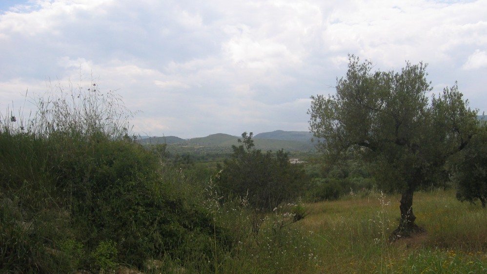 MPS-273