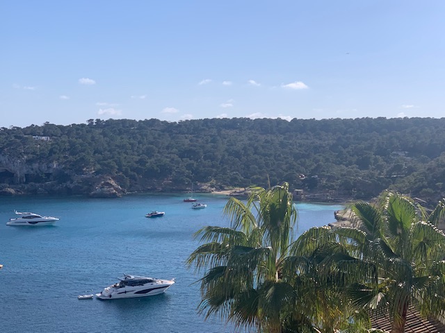 6238e3ecfe5cef6aa02dcf64