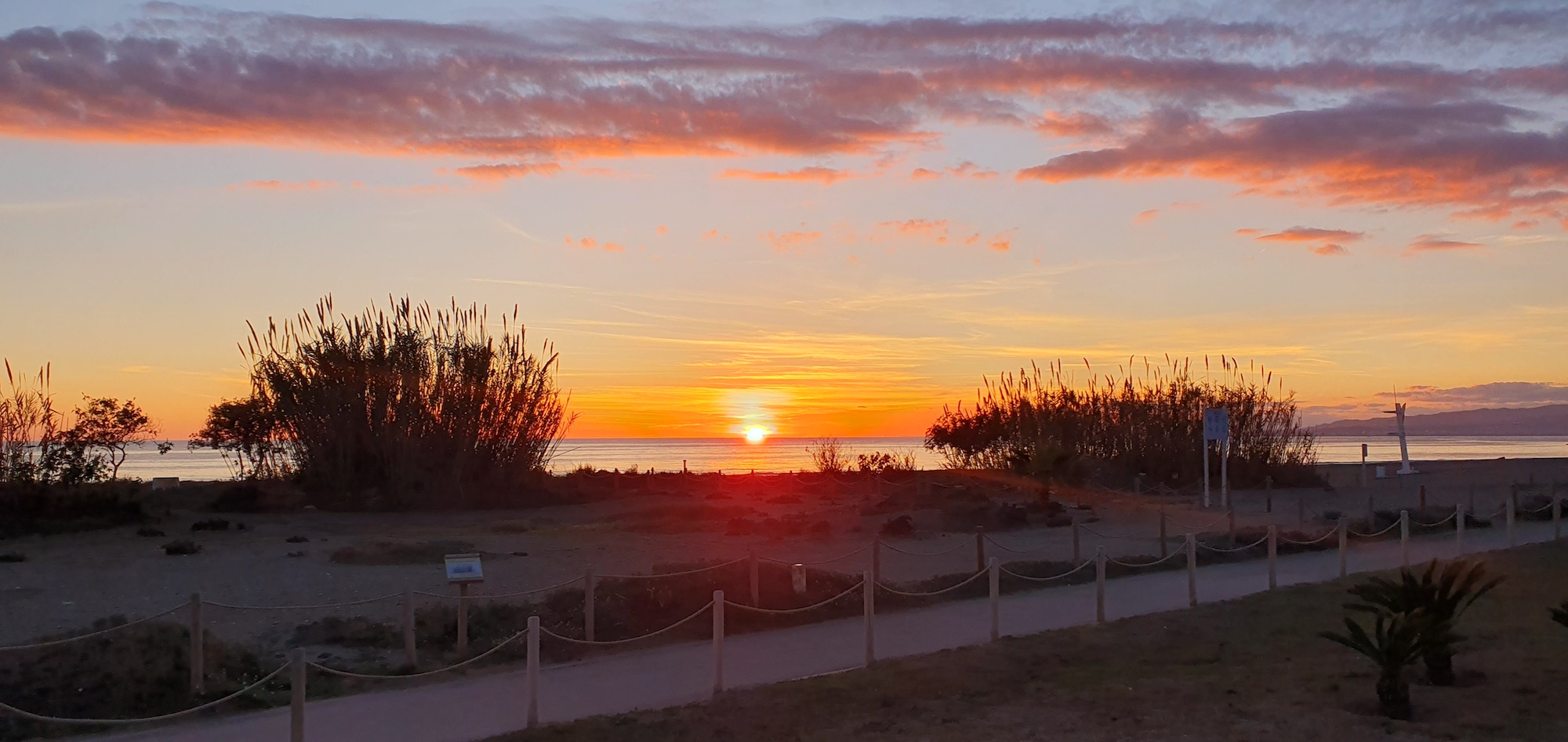 Sunset