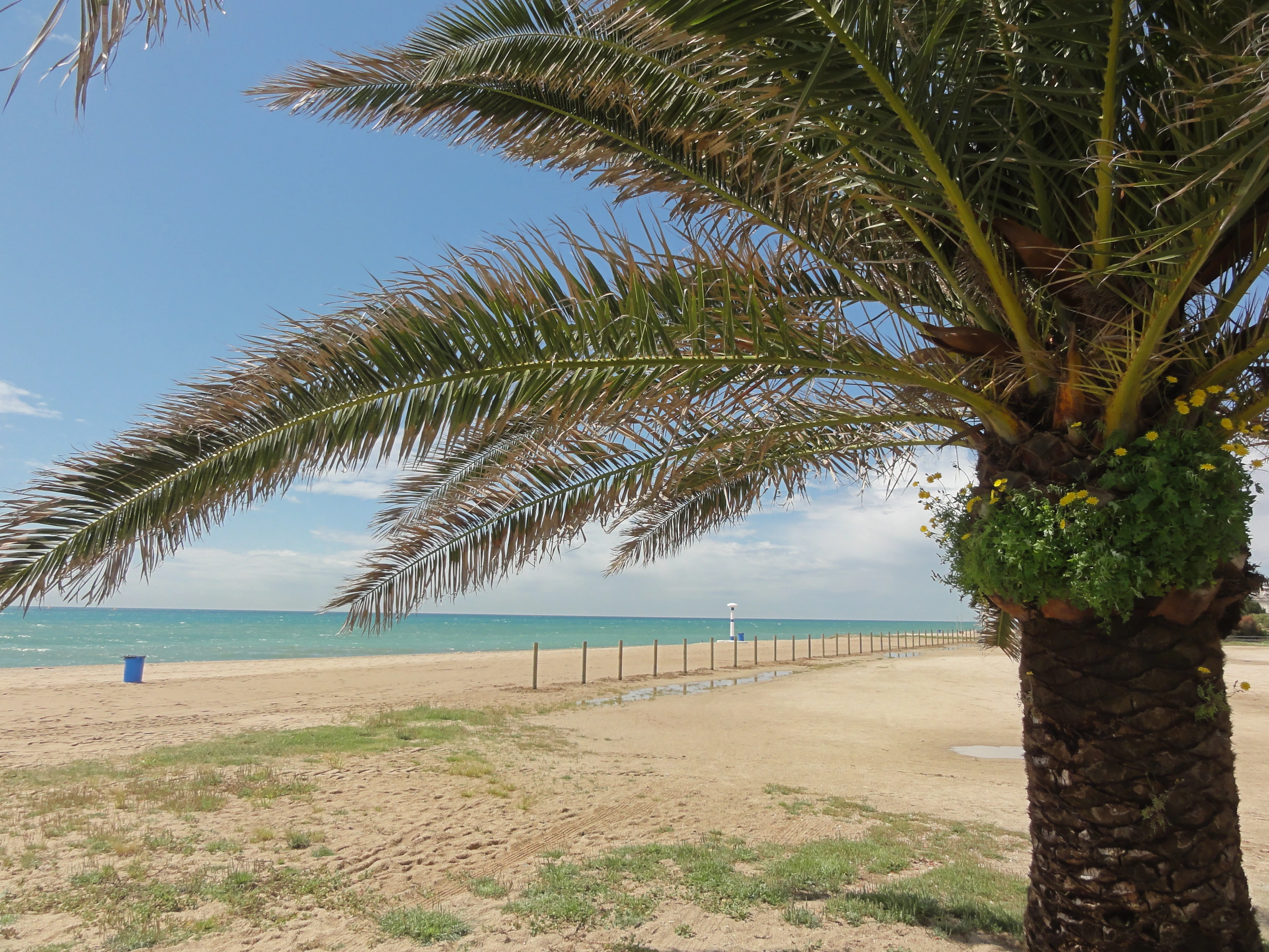 Pineda de Mar