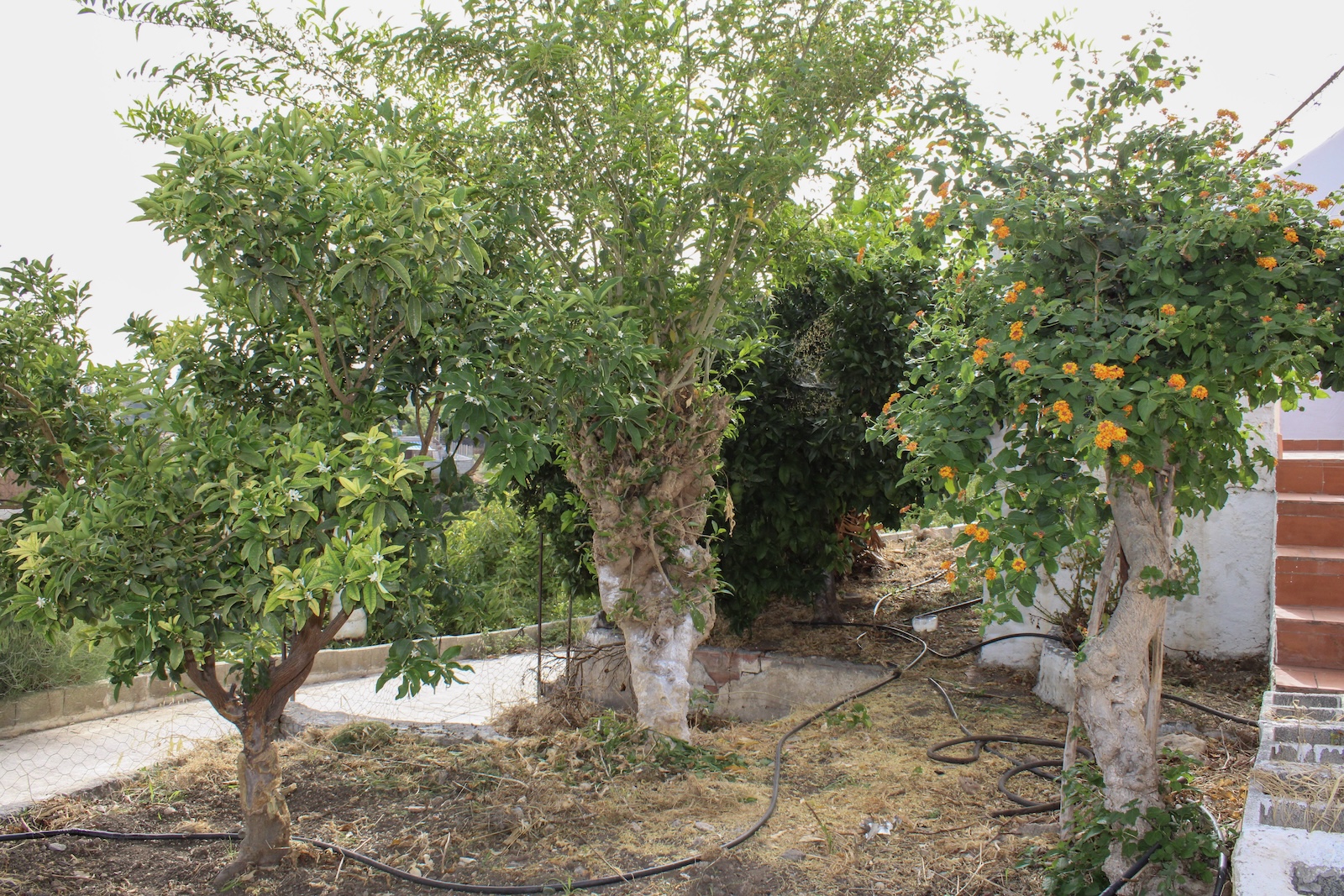 Nerja