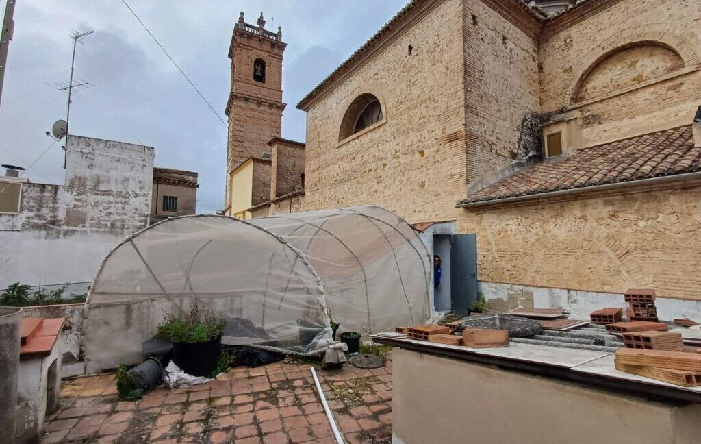 oliva