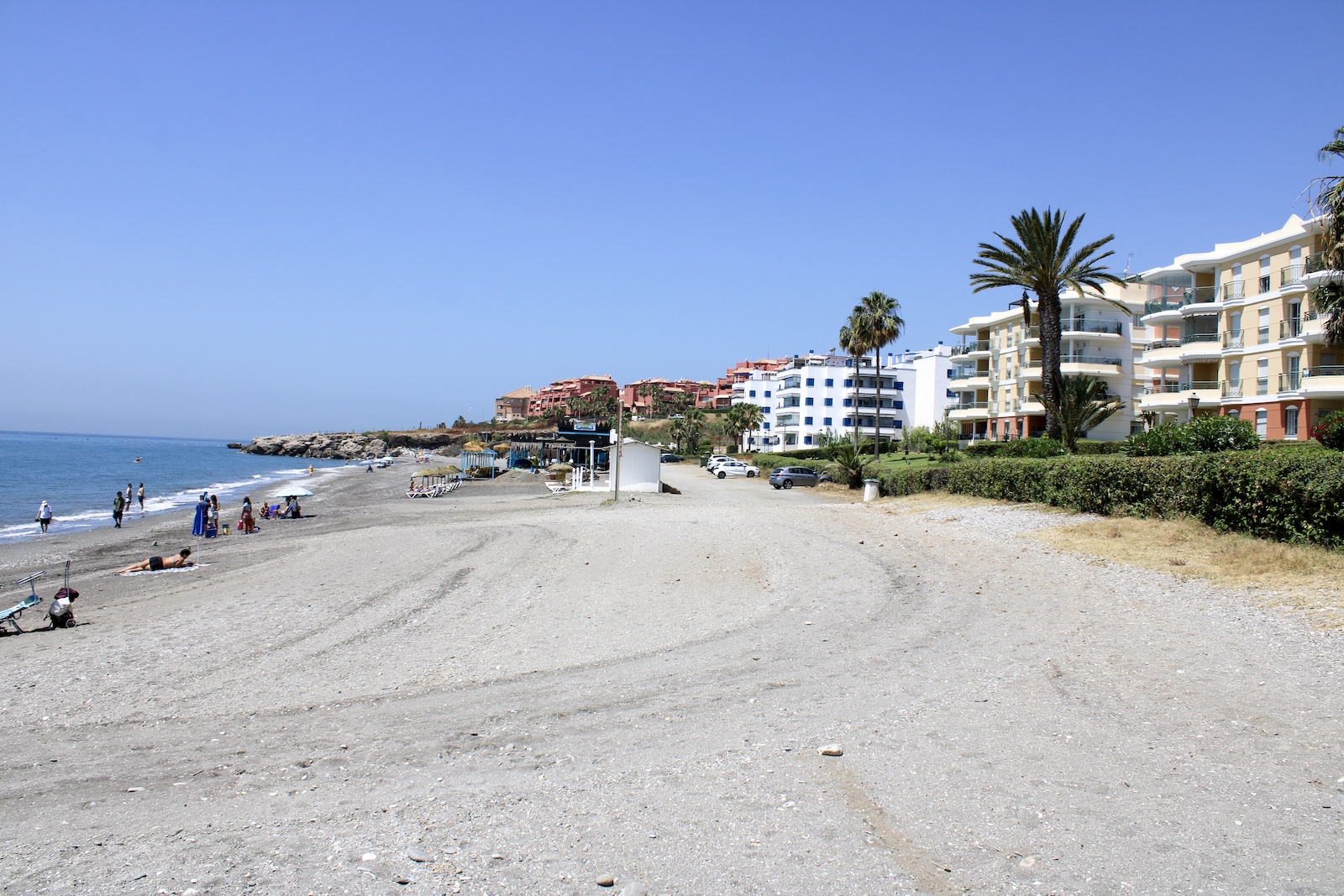 Penoncillo