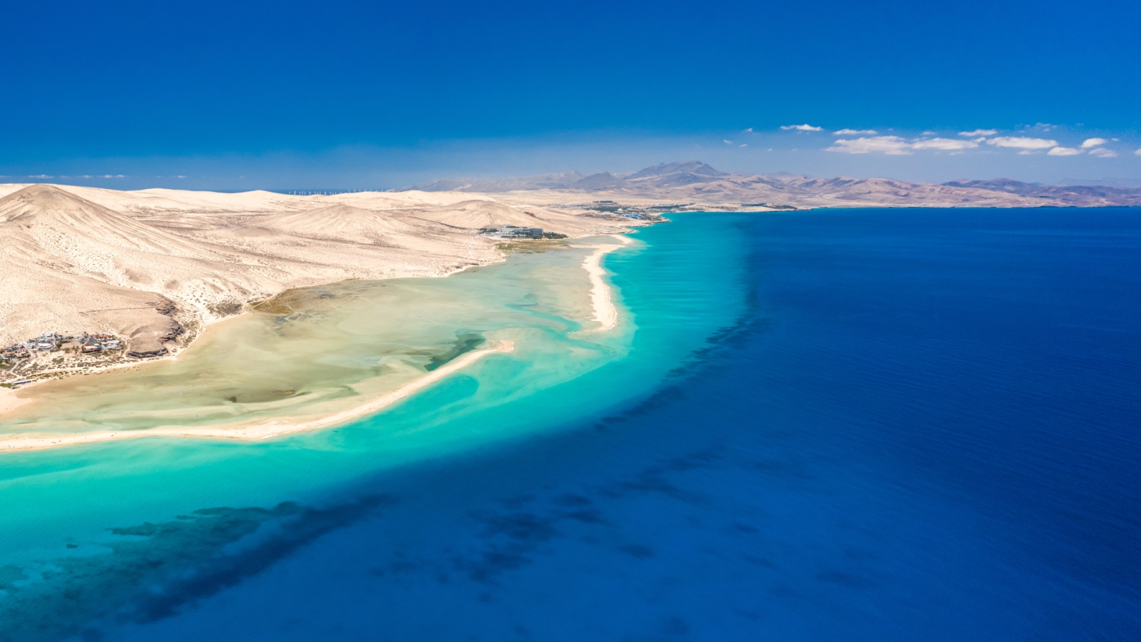 shutterstock 1441997966 - La playa de Sotavento, Fuerteventura.