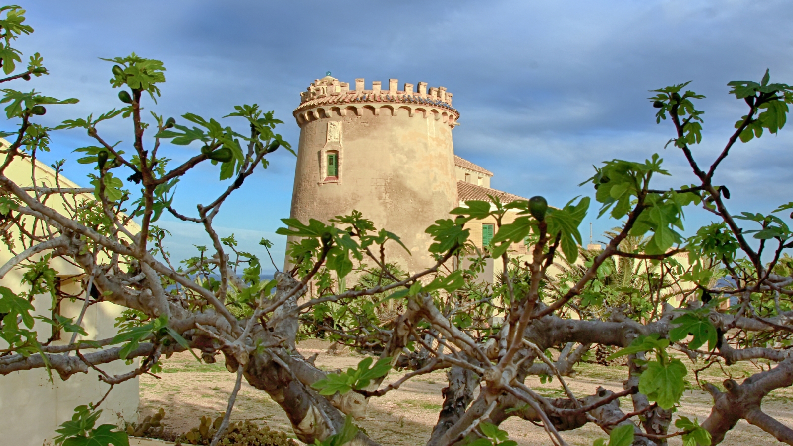 shutterstock 147215240