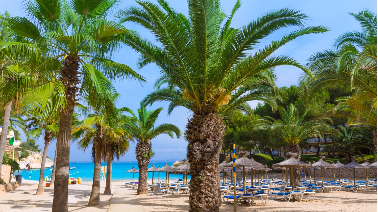 shutterstock 266028947 - Cala Vinyes