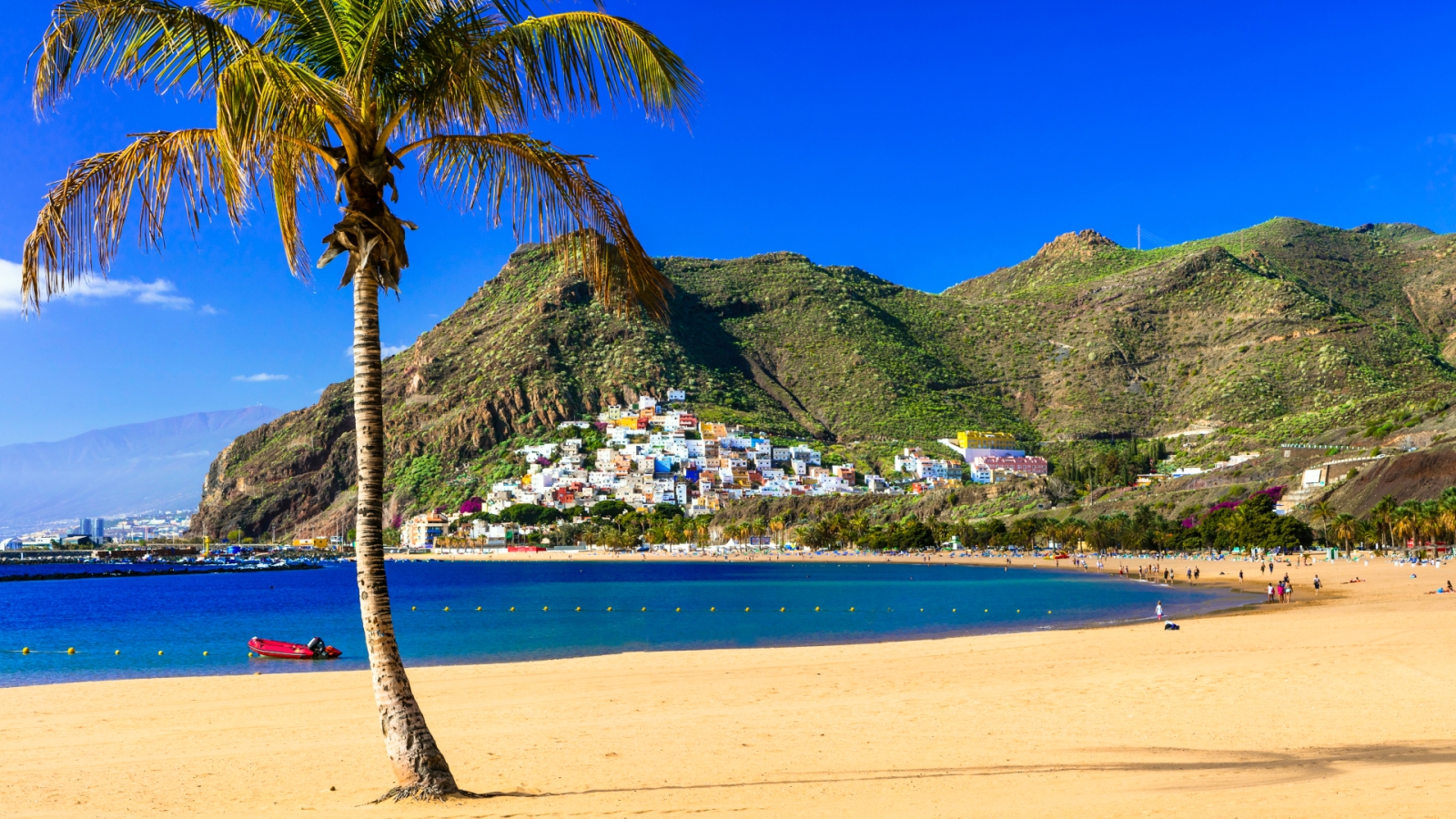 shutterstock 795611044 - Playas de Tenerife