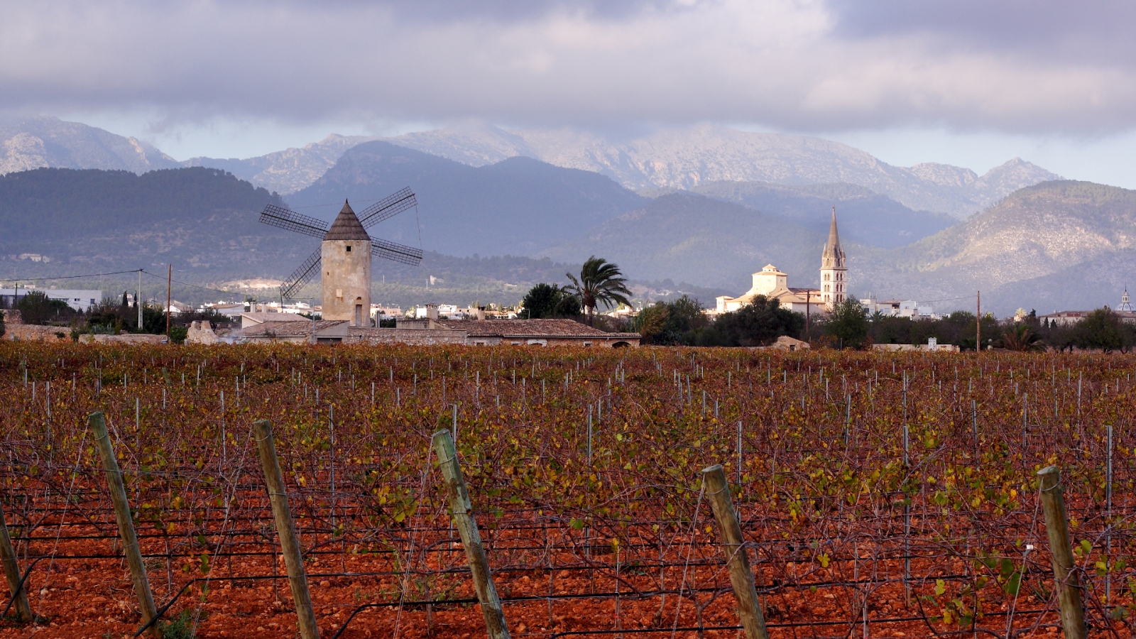 shutterstock 101398498 - Binissalem