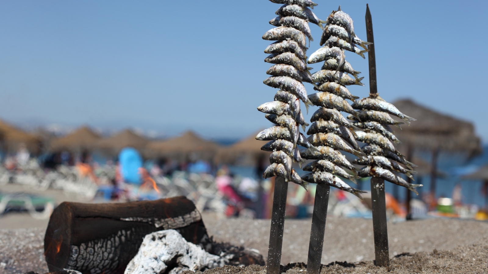 shutterstock 111247316 - Sardines on the grill in a seafood beach restaurant, Costa del Sol