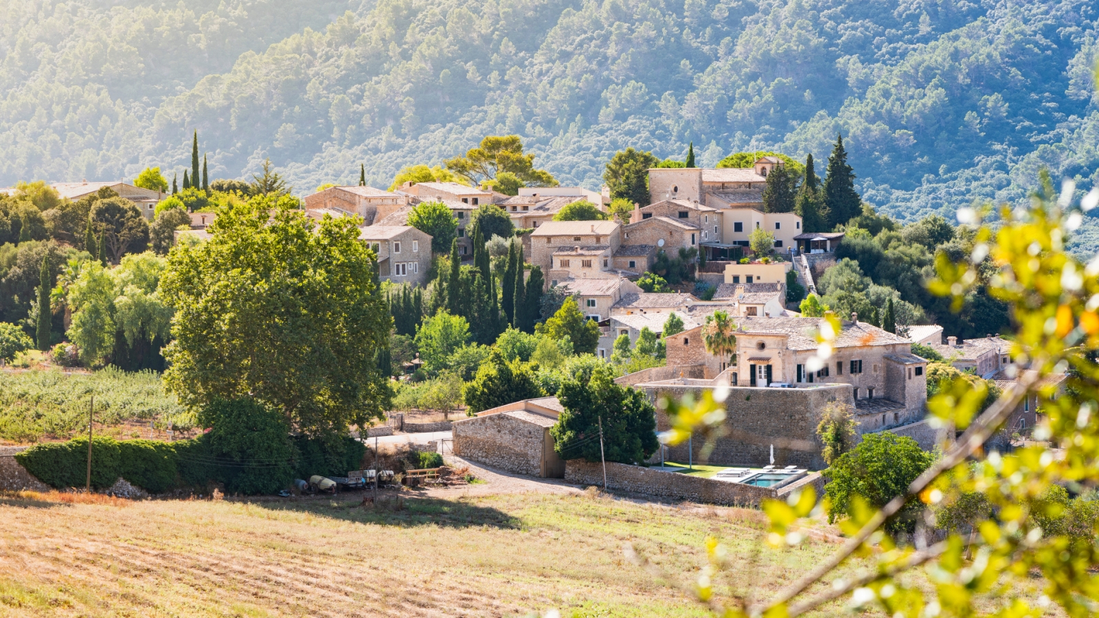 shutterstock 1146794972 - Orient, Mallorca