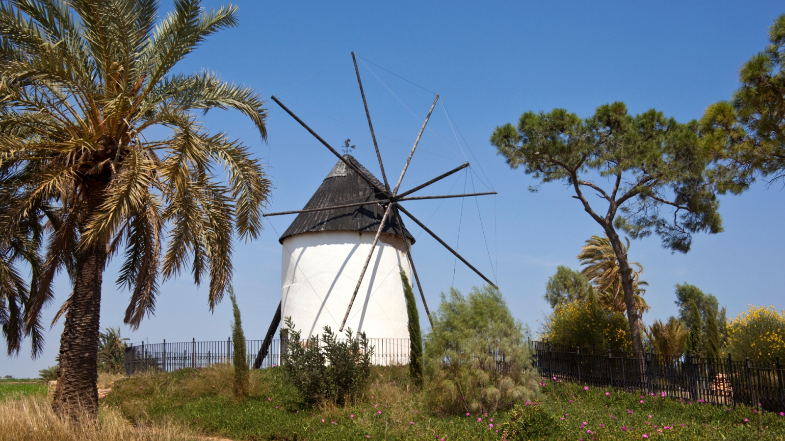 shutterstock 1236740824 - Torre-Pacheco