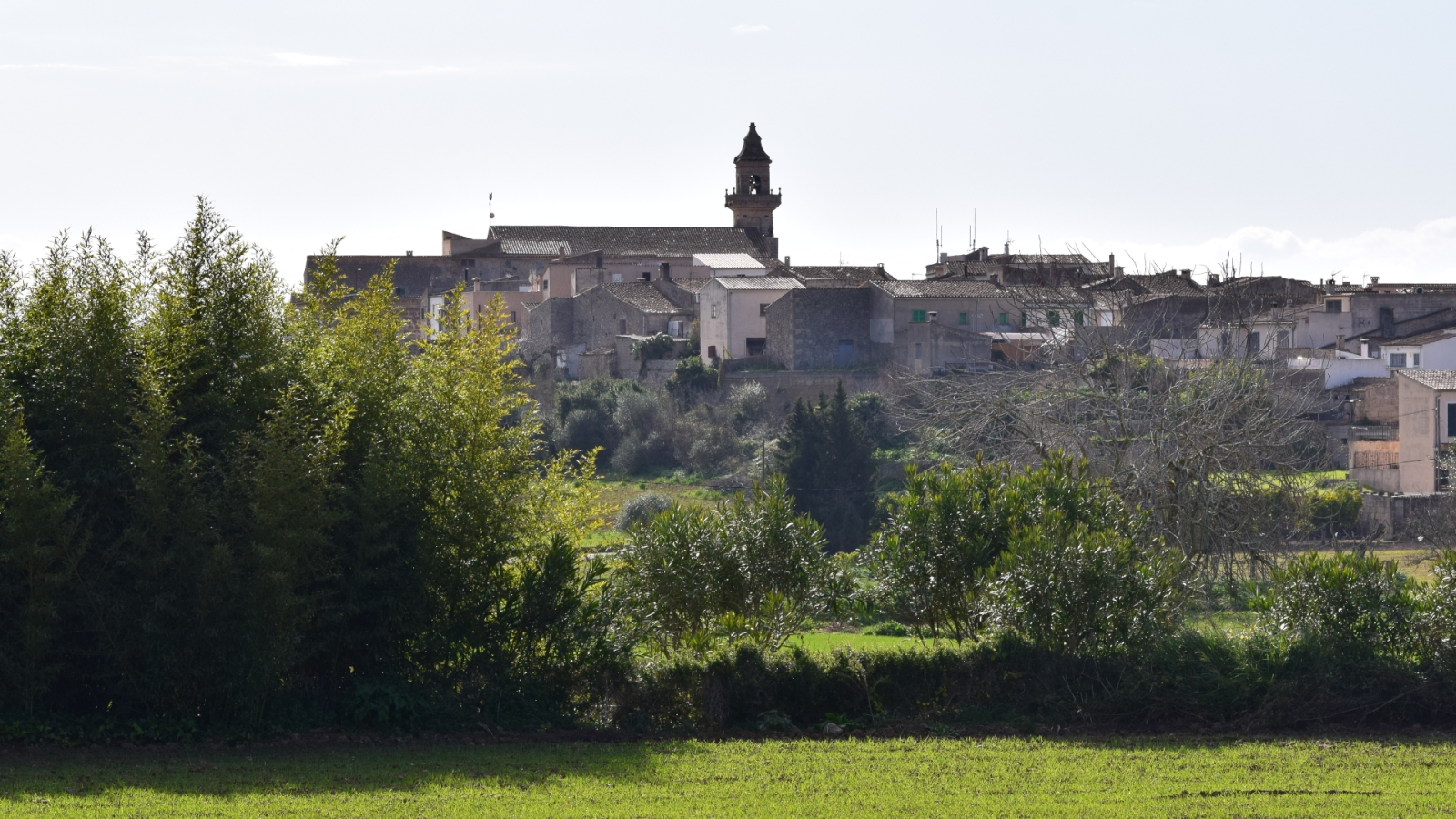 shutterstock 1305153694 - Lloret de Vistalegre
