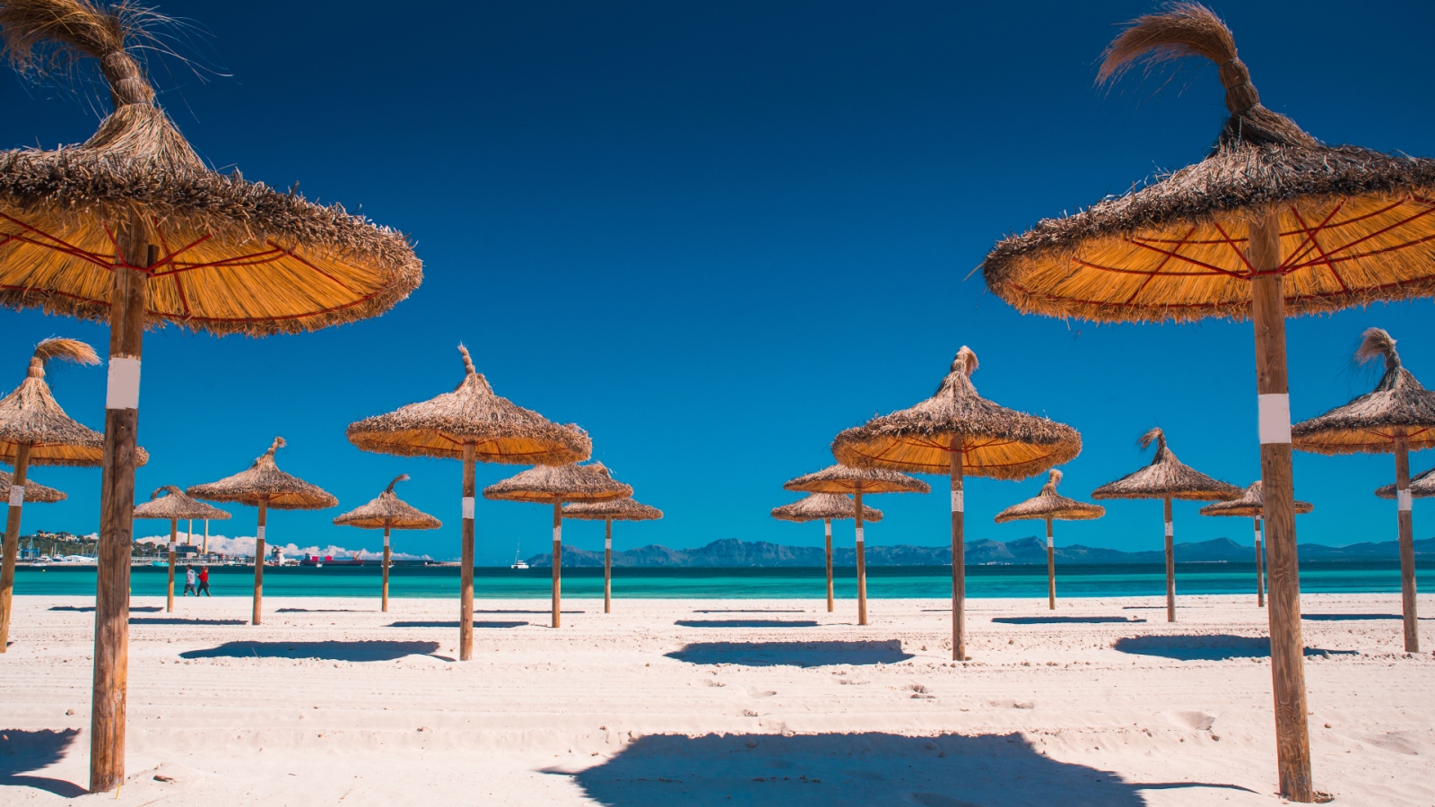 shutterstock 1403385131 - Can Picafort, Mallorca