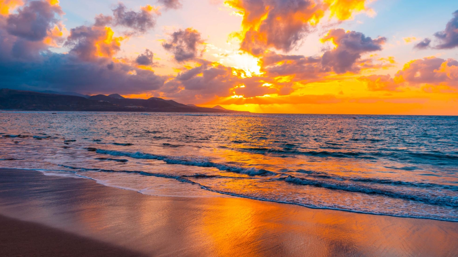 shutterstock 1432519718 - Las Canteras, Gran Canaria