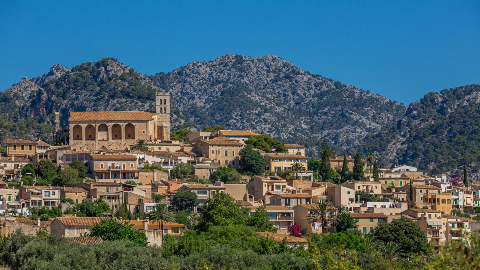 shutterstock 151999280 - Selva, Mallorca