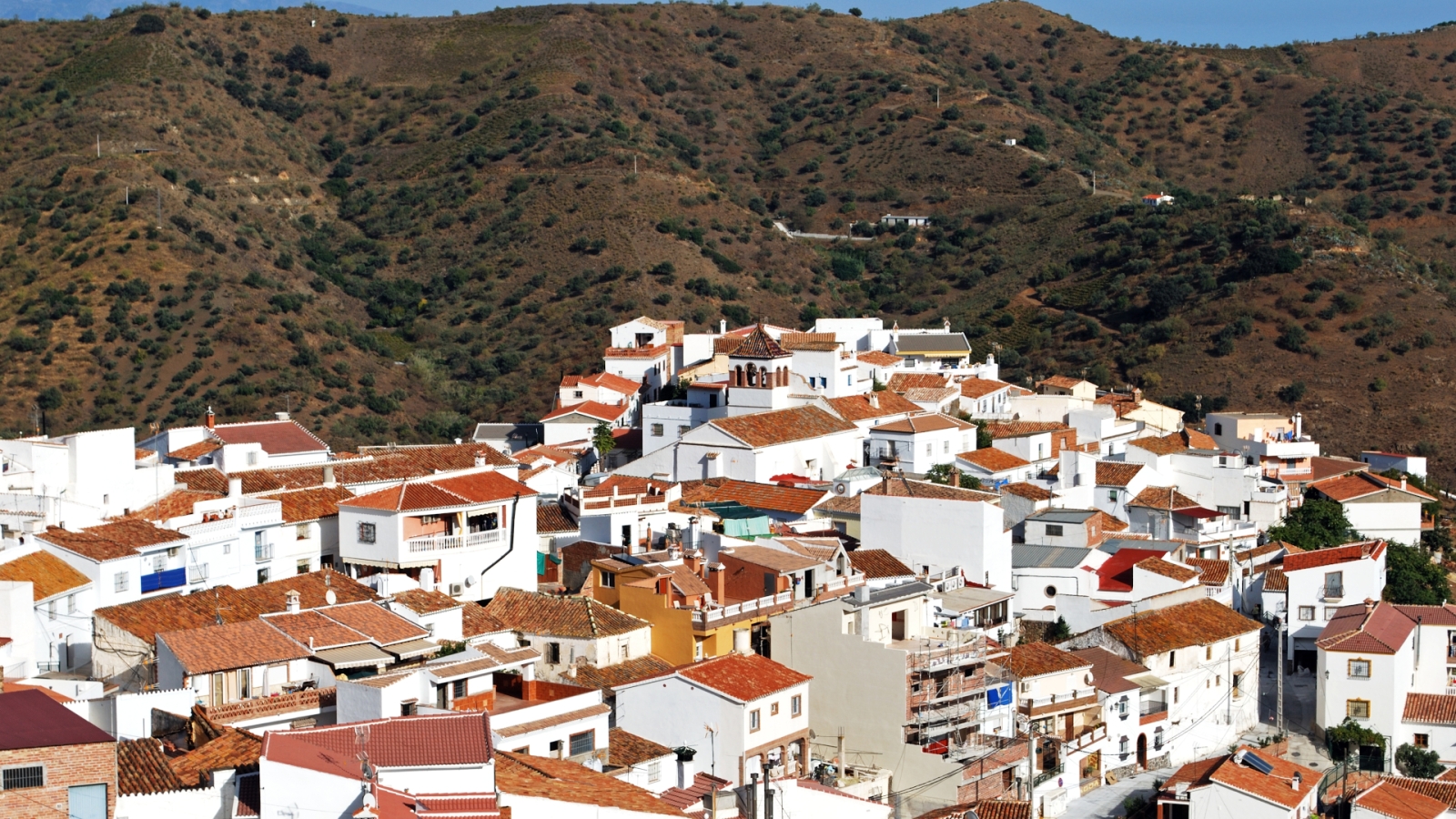 shutterstock 1715426878 - Moclinejo