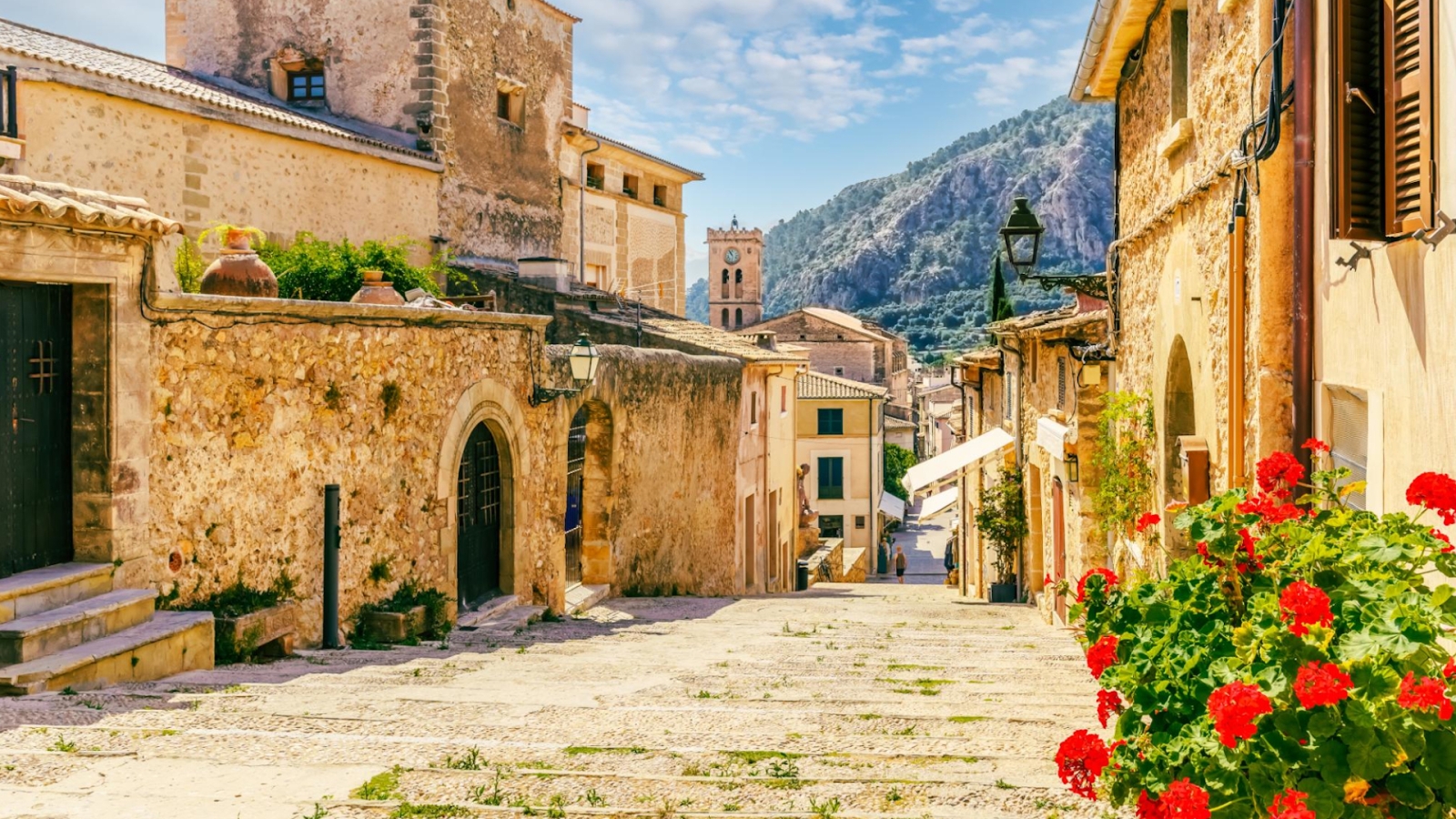 shutterstock 2010916790 - Pollenca