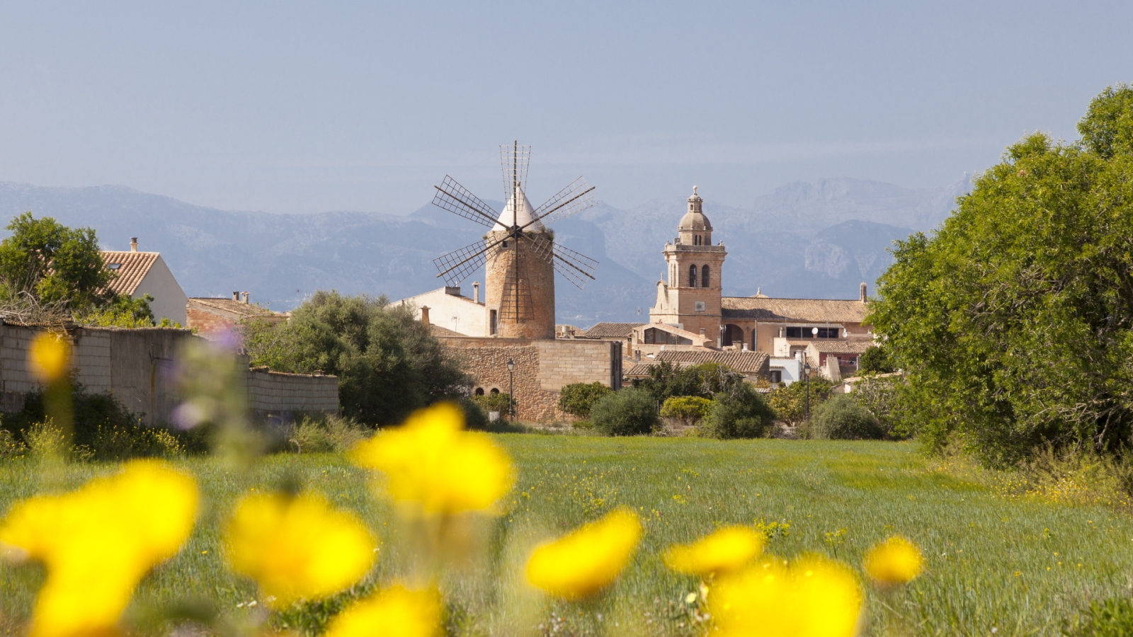 shutterstock 218153443 - Algaida, Mallorca