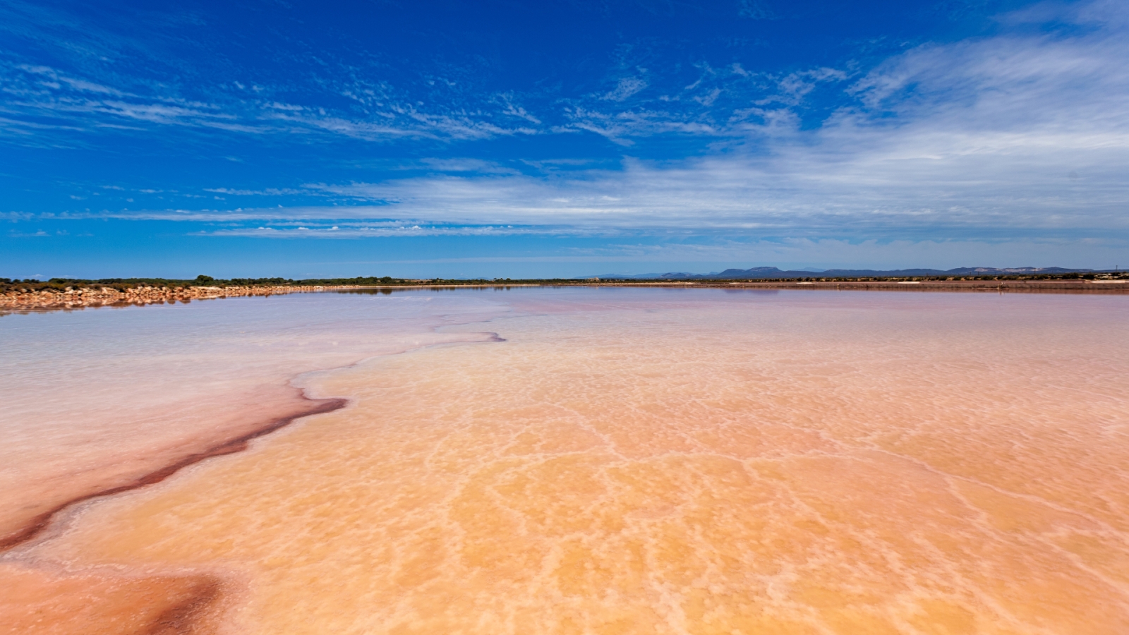  shutterstock 246235519 - Ses Salines