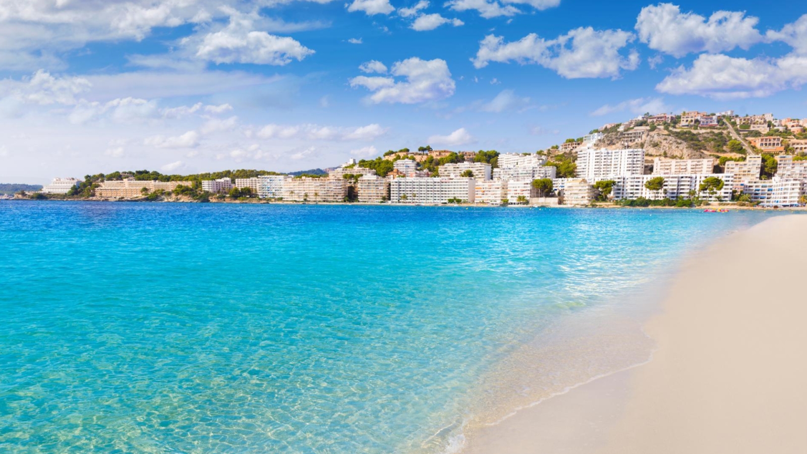 shutterstock 263982692 - Cala Santa Ponsa, Mallorca