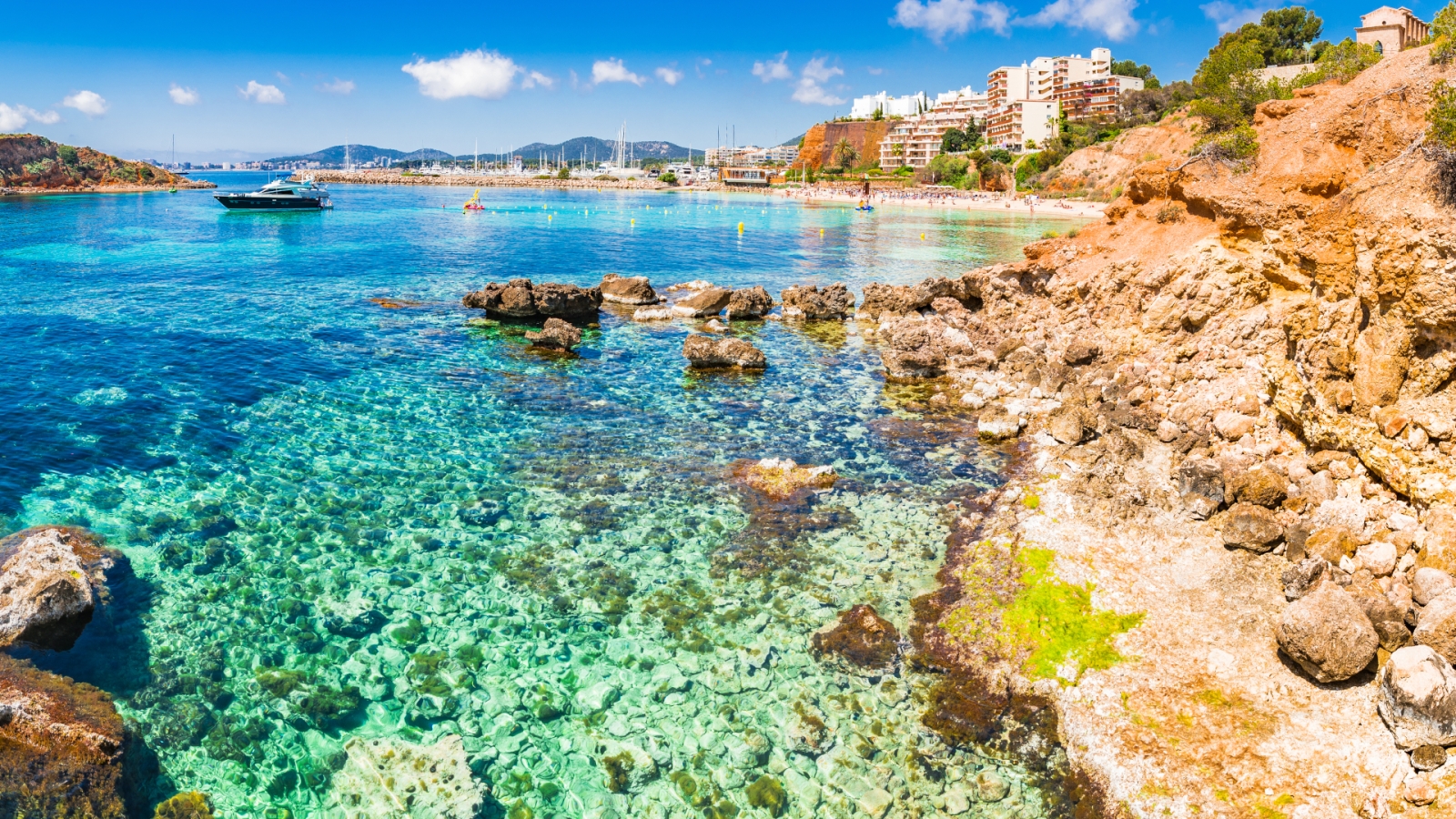  shutterstock 624655232 - Costa de Portals Nous, Mallorca