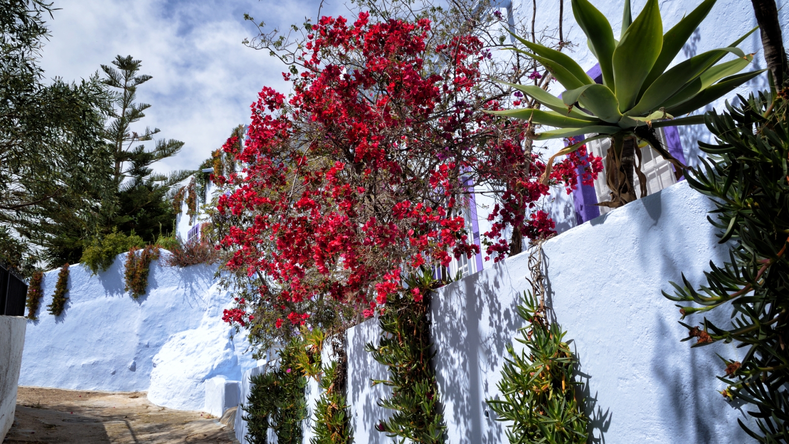 shutterstock 1075415288 - Nijar