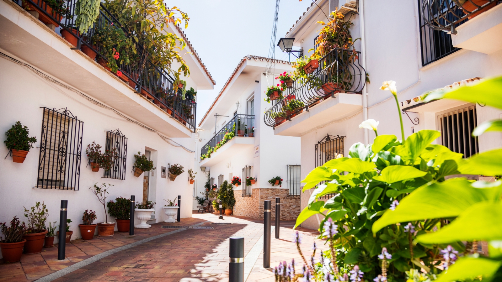 shutterstock 1080338444 - La Capellania