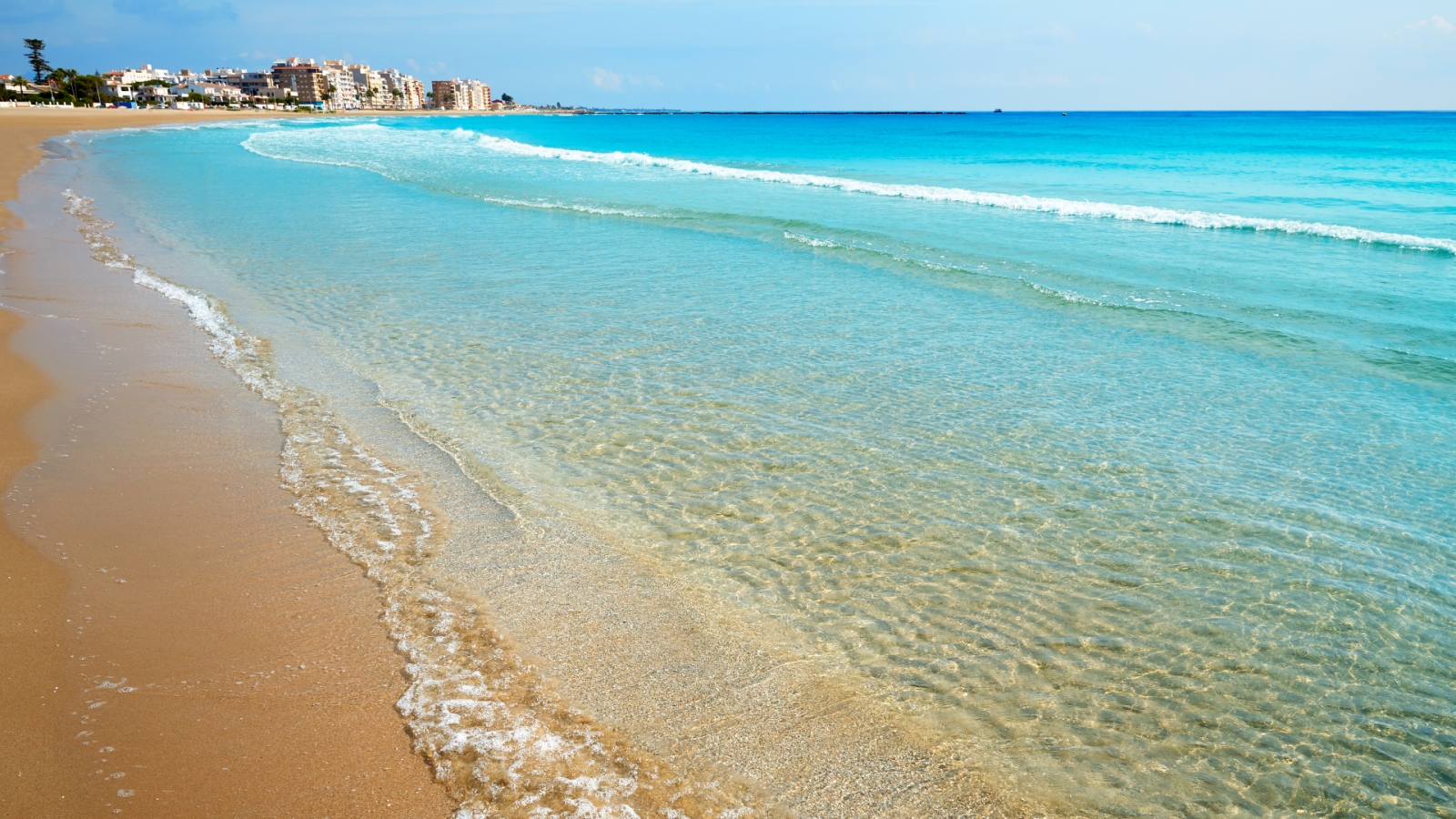 shutterstock 1217616061 - Burriana