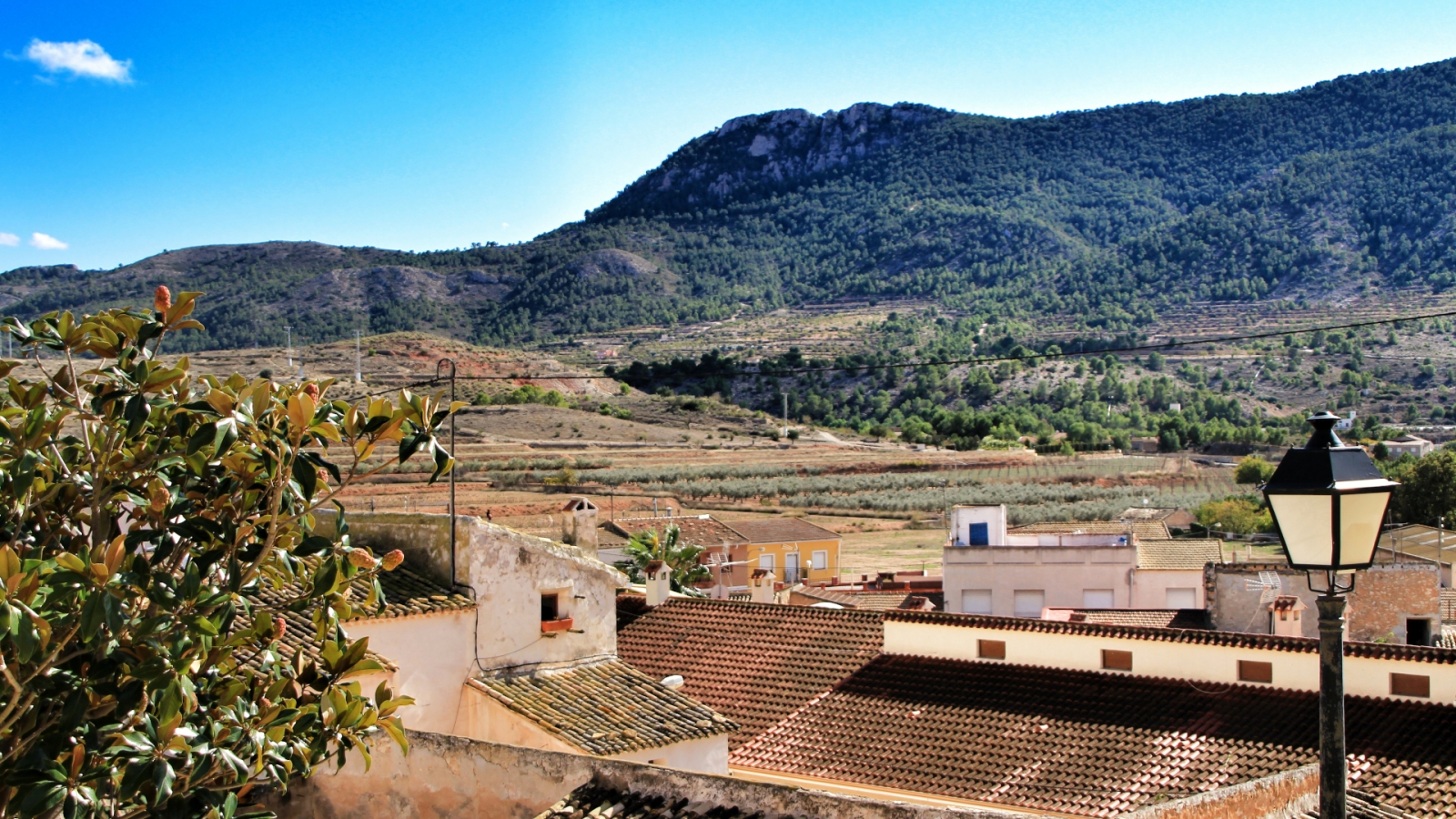 shutterstock 1227743986 - Hondón de las Nieves