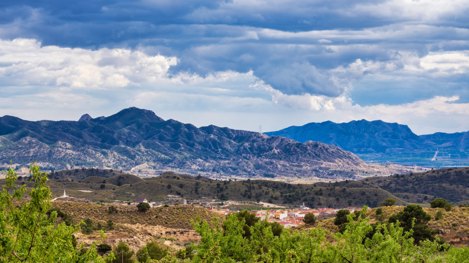 shutterstock 1501269110