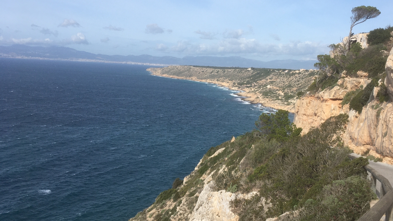 shutterstock 1588283350 - Badia Blava