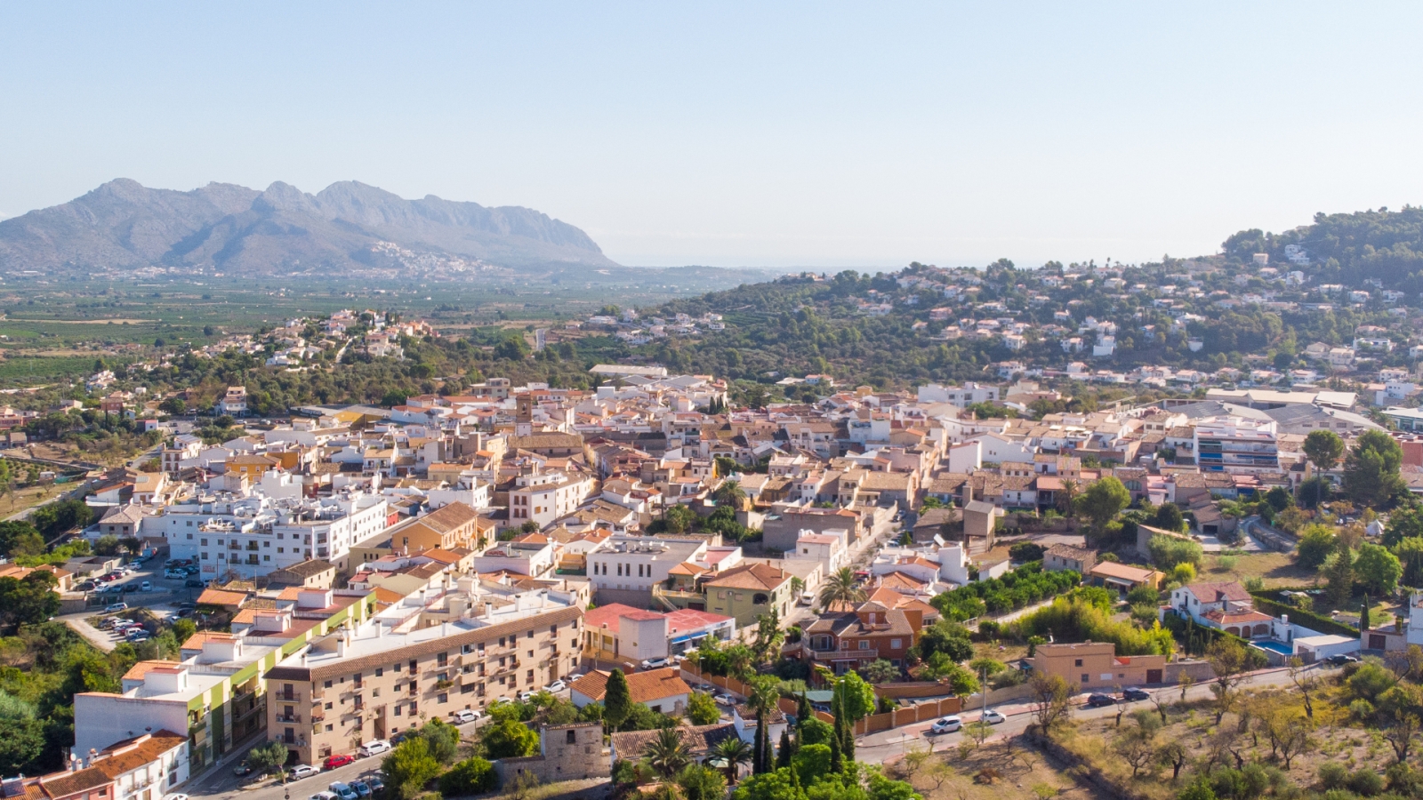 shutterstock 1803328273 - Orba