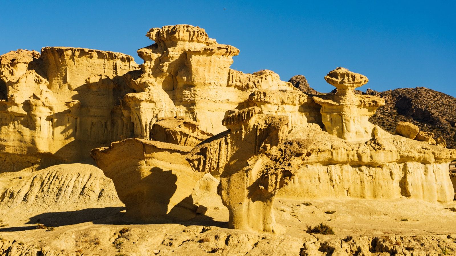 shutterstock 1874751154 - Bolnuevo