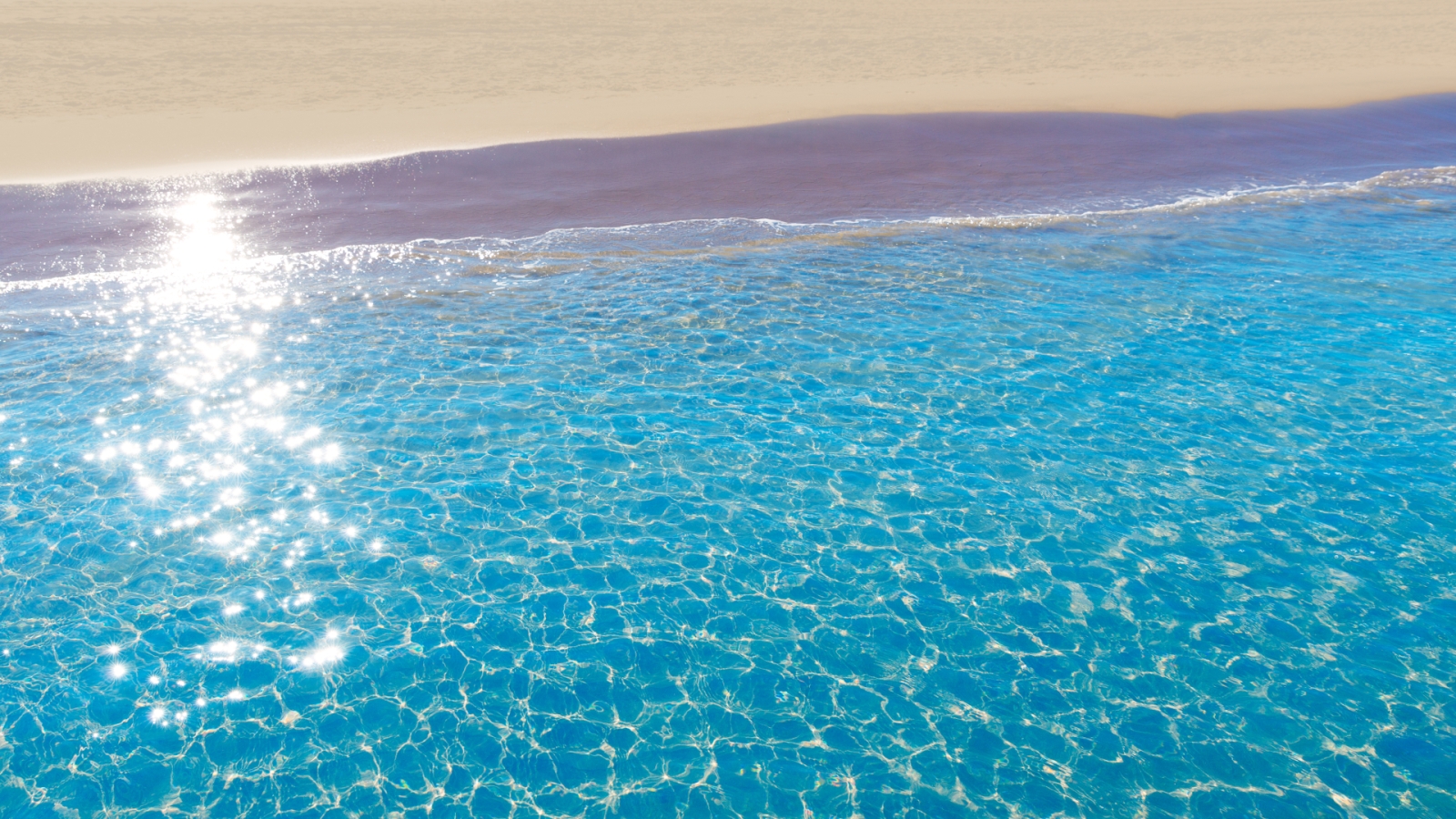 shutterstock 188038379 - Gandia