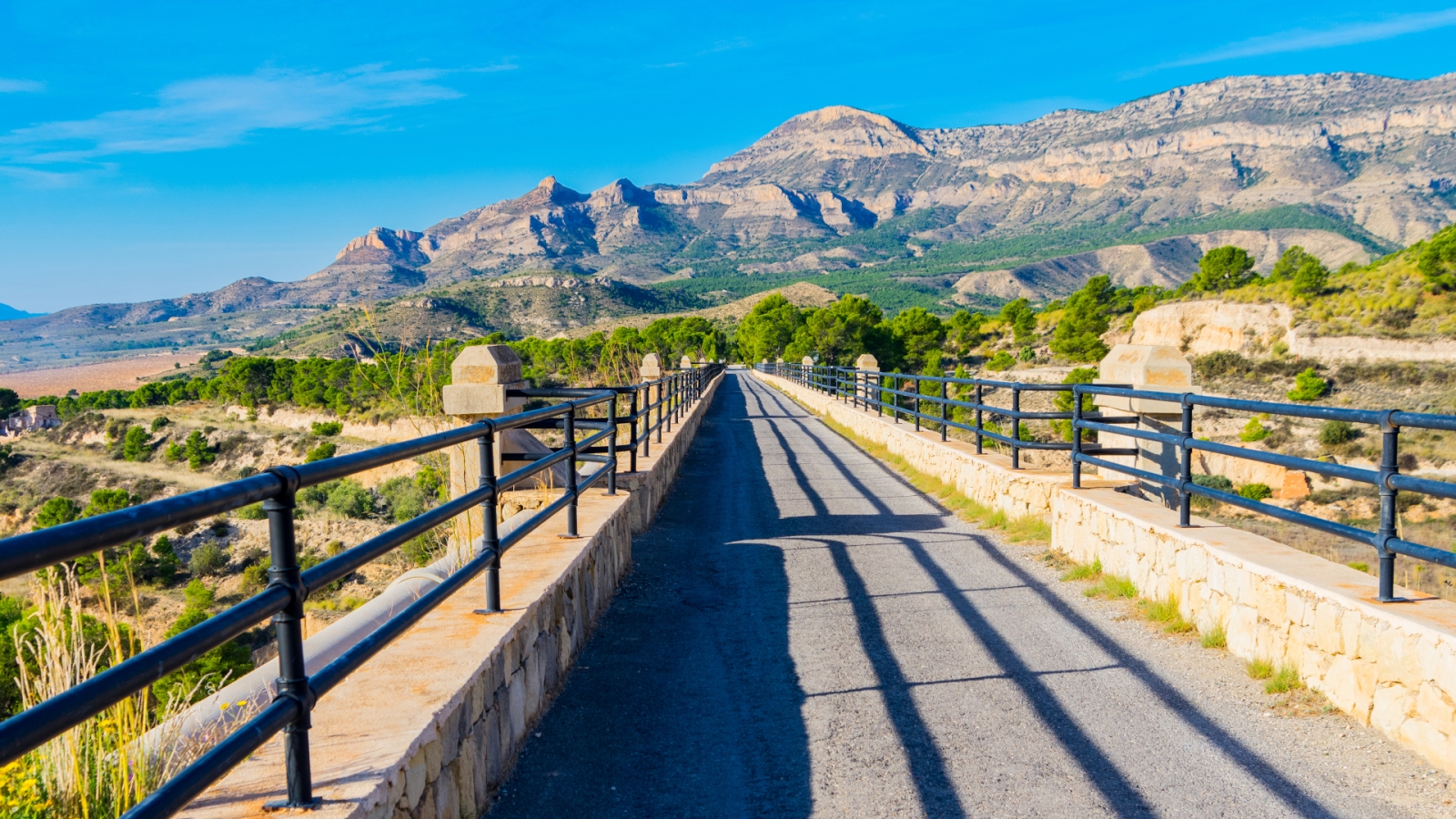 shutterstock 1921989245 - Agost