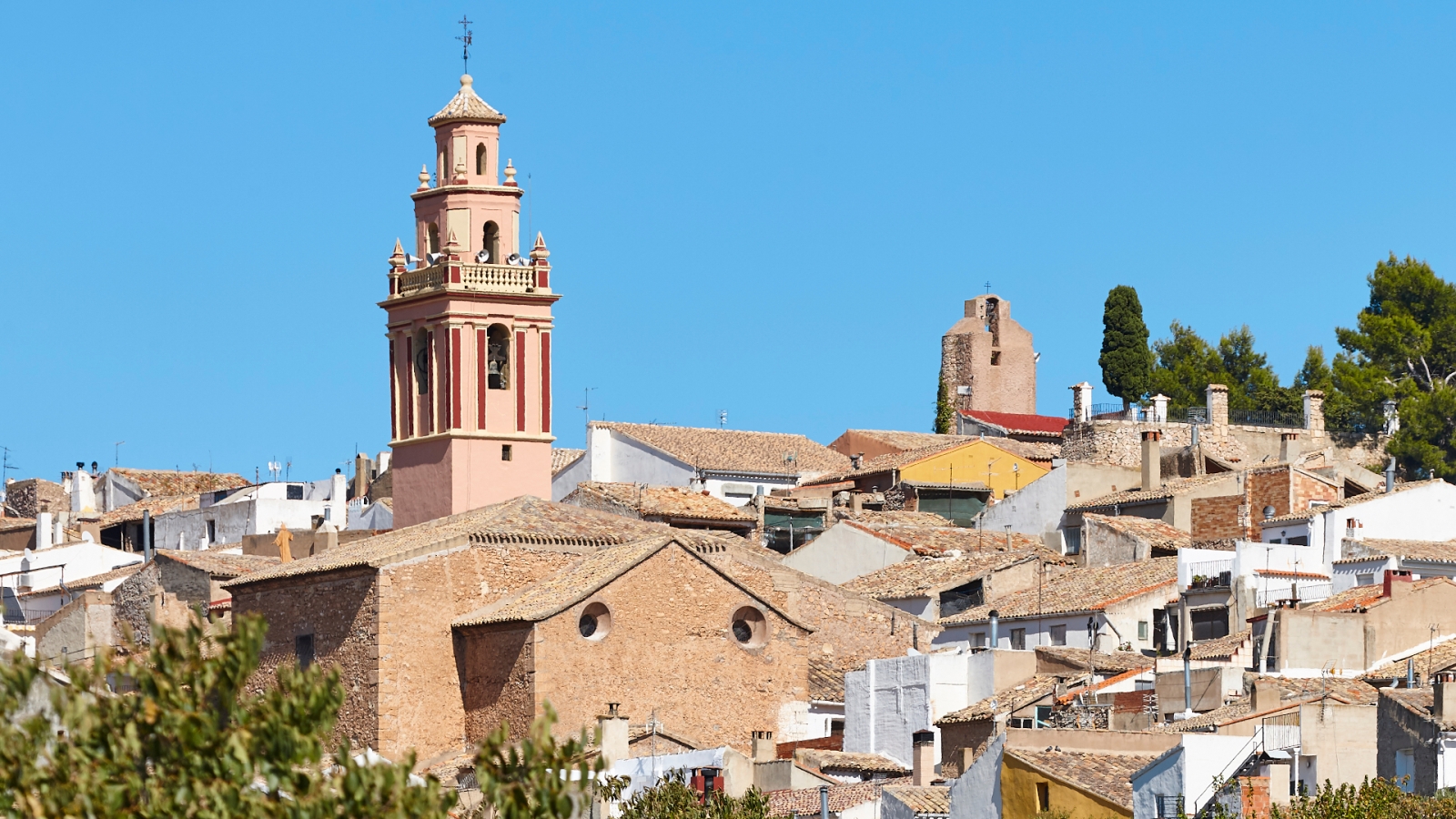 shutterstock 1923393893 - Jarafuel