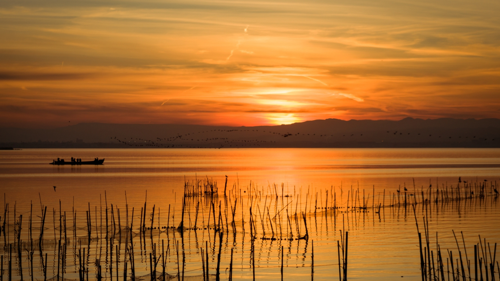 shutterstock 1930929812 - Albufera
