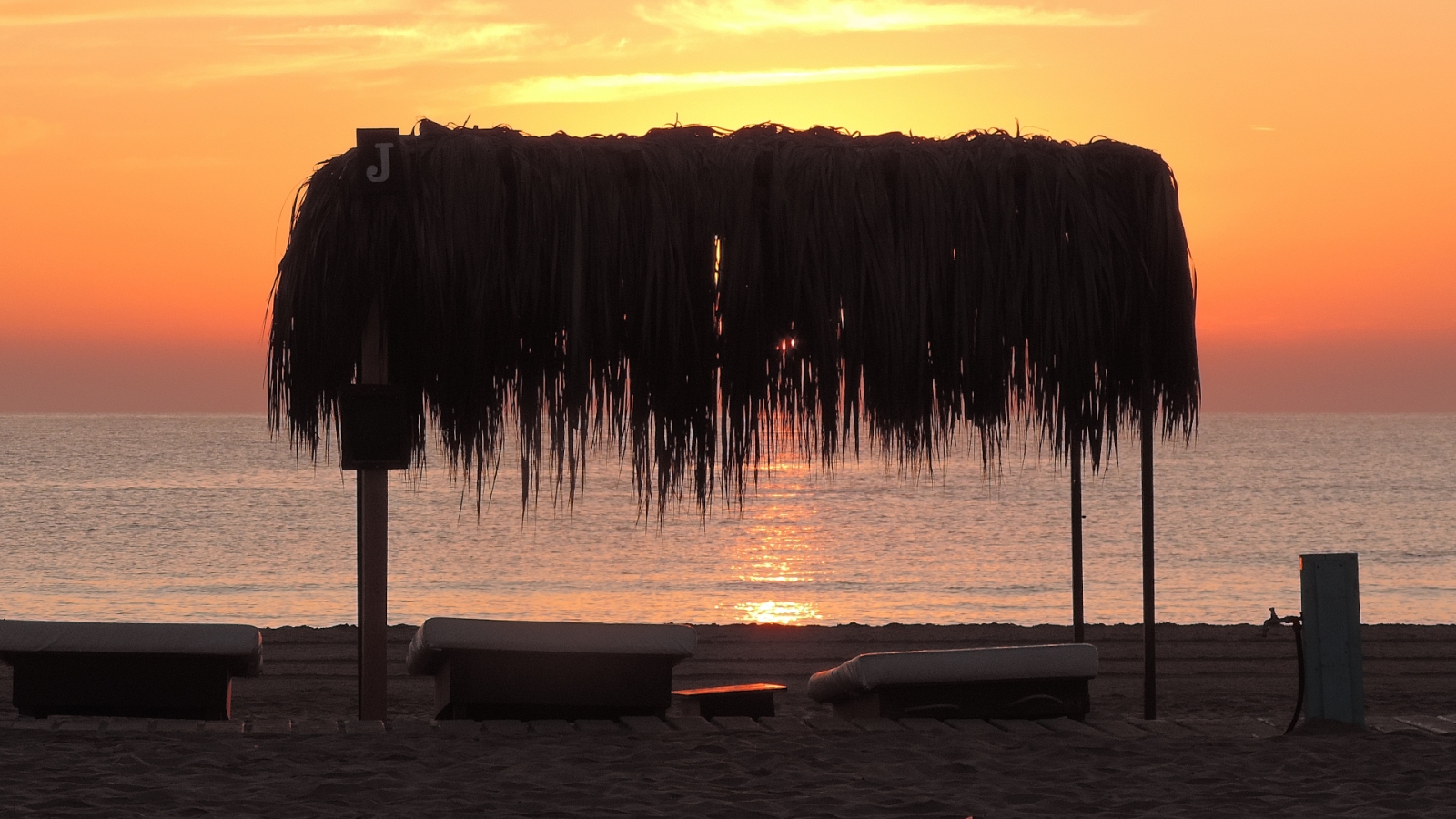 shutterstock 1987233143 - Xeraco