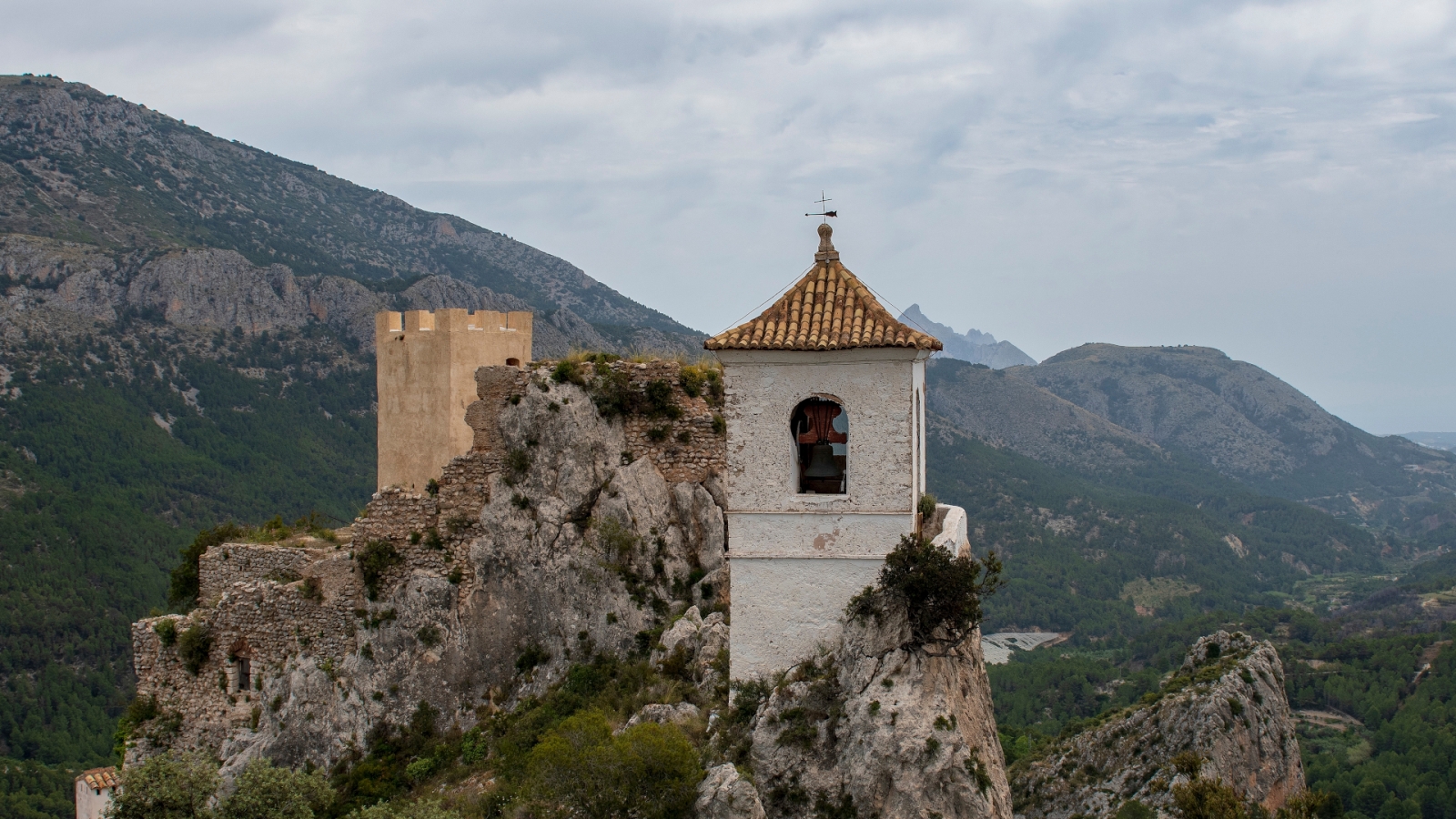 shutterstock 2100196264