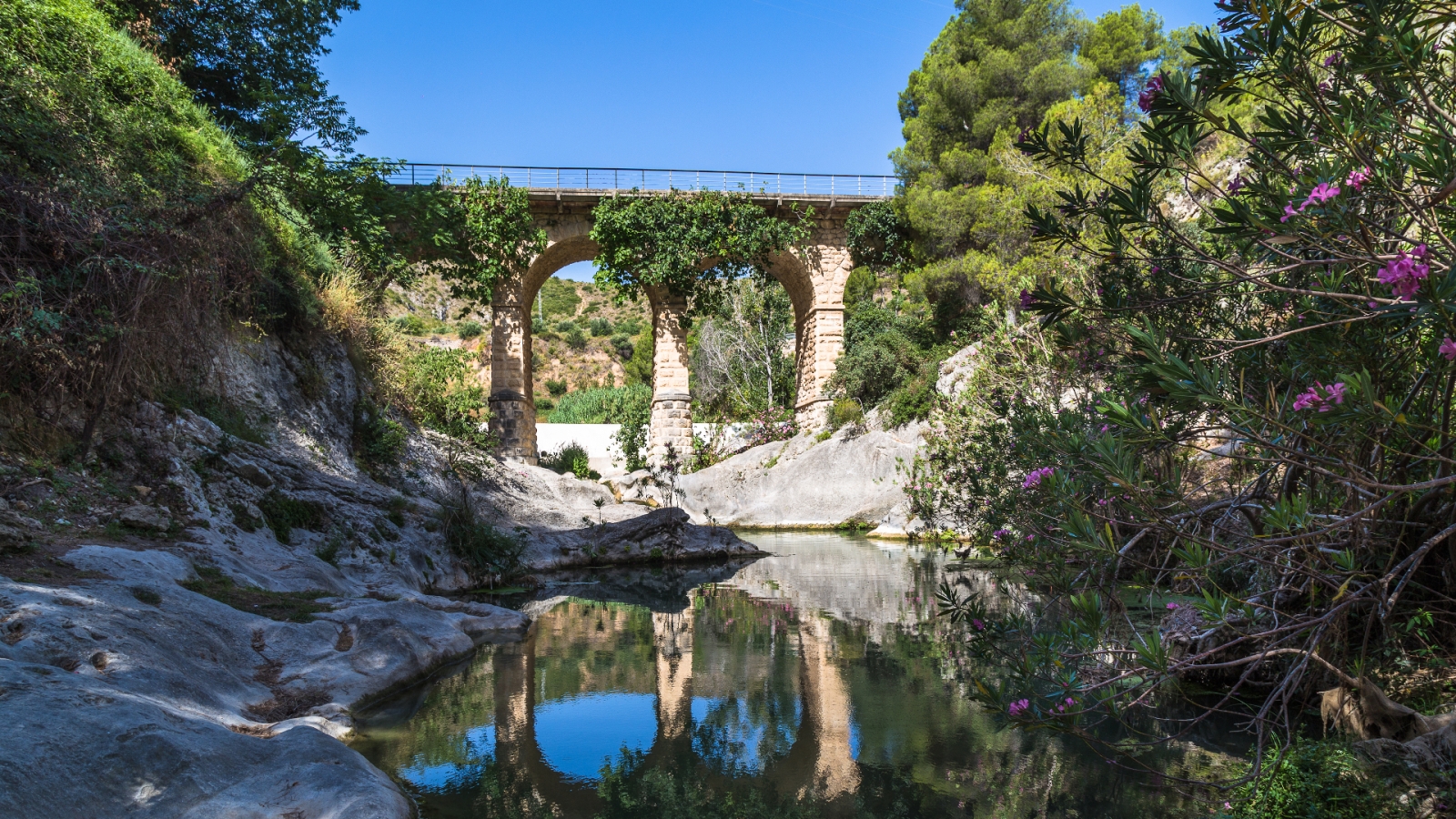 shutterstock 768578611