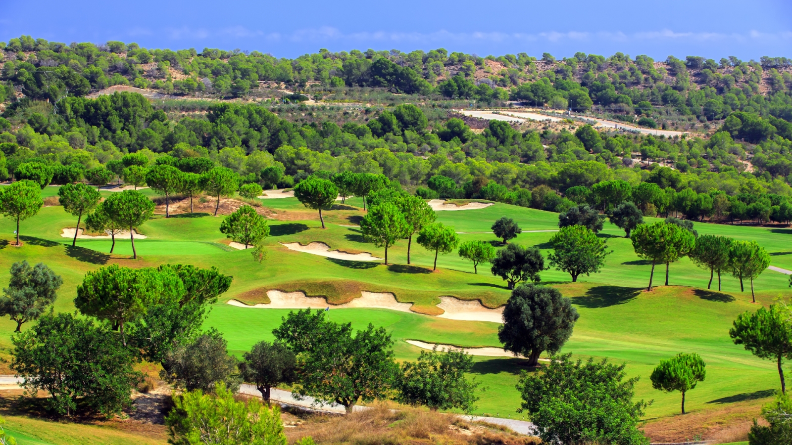 AdobeStock 318227485