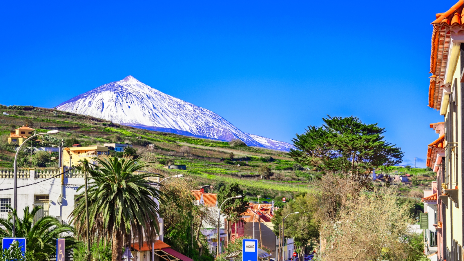 shutterstock 1040919808 - Tacoronte