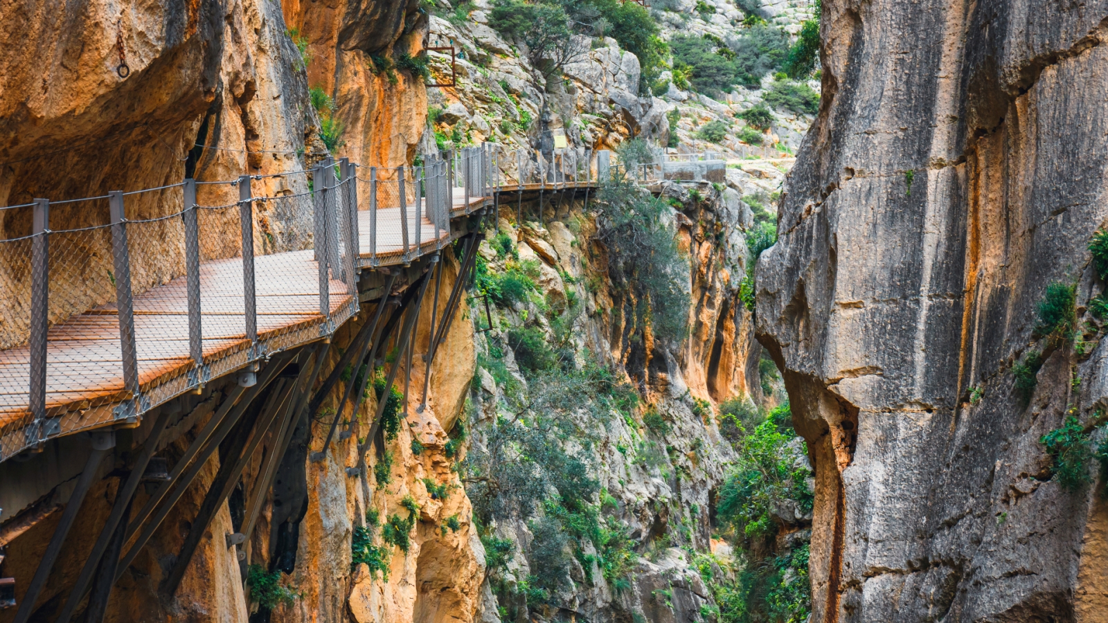 shutterstock 1079823878