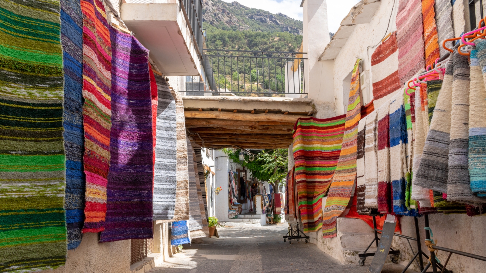 shutterstock 1135484735