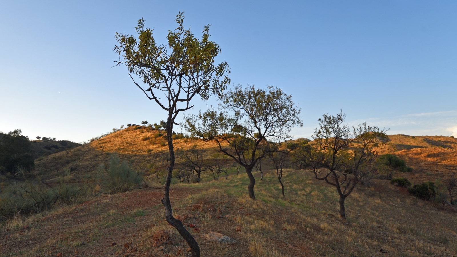 shutterstock 1191846955