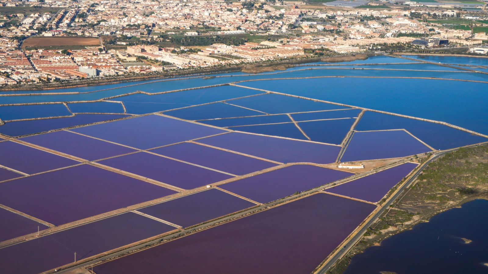 shutterstock 1252067878