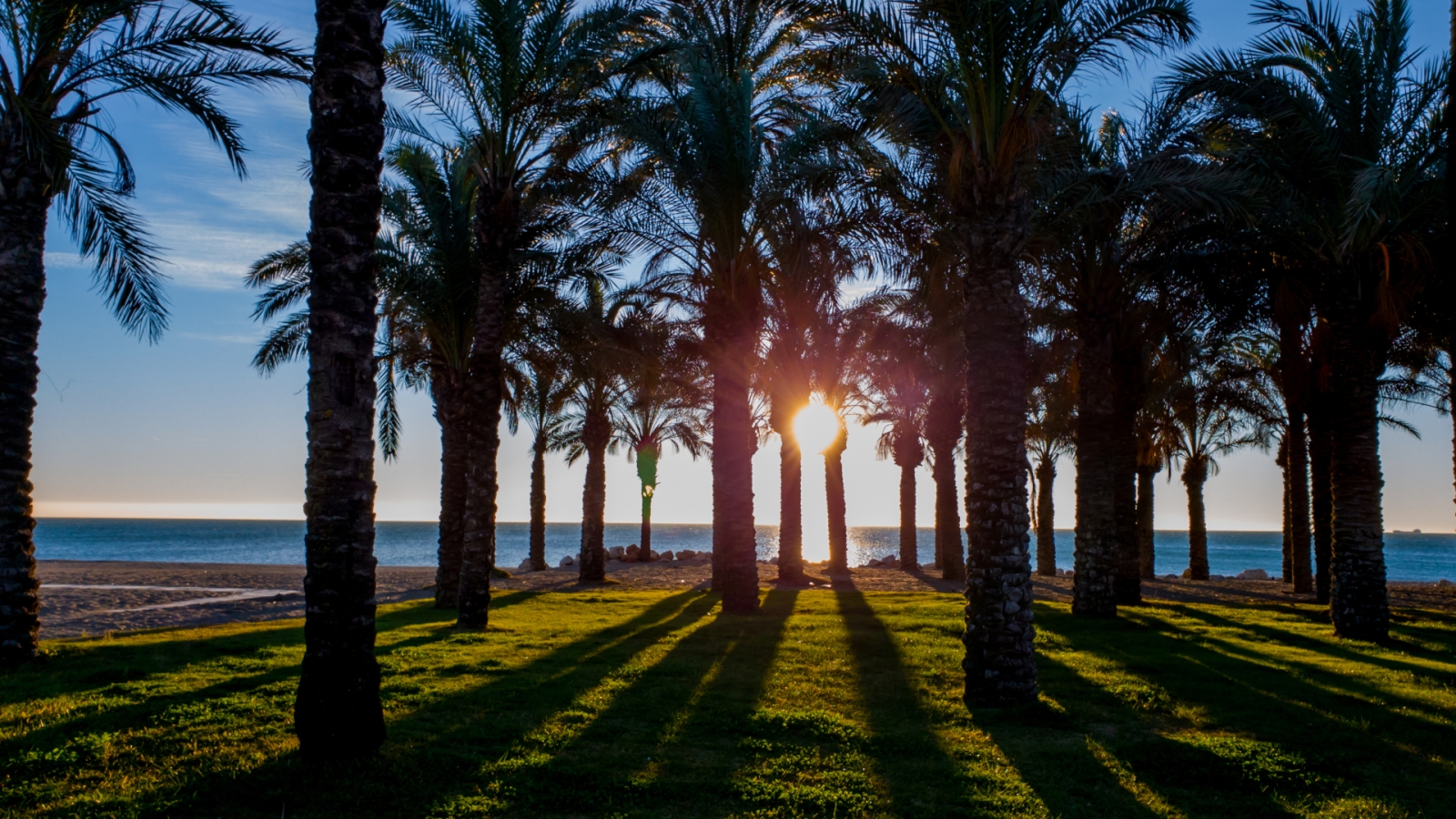 shutterstock 1266616894 - Los Álamos