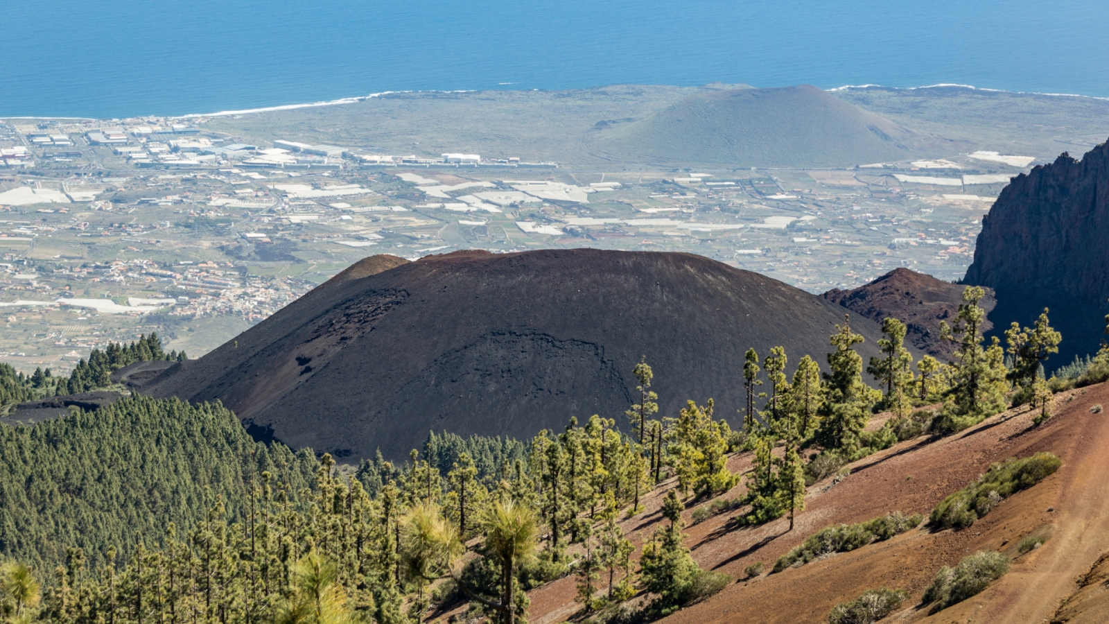 shutterstock 1425188516 - Arafo