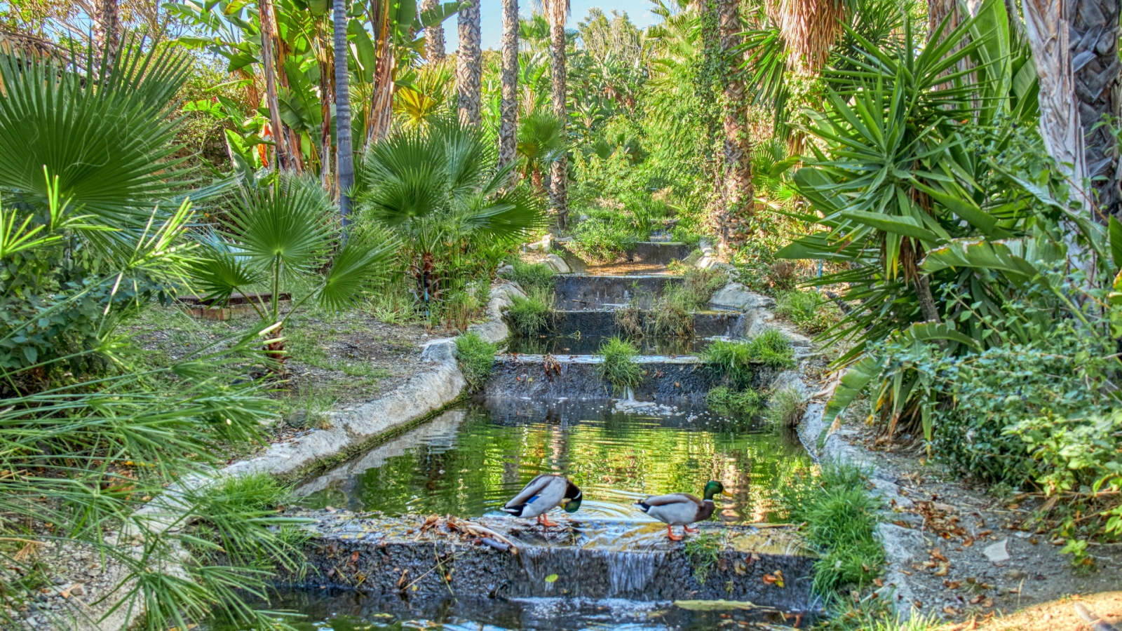 shutterstock 1560695705 - Selwo